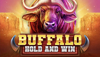 Buffalo Hold and Win