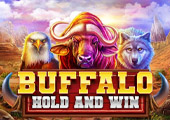 Buffalo Hold and Win